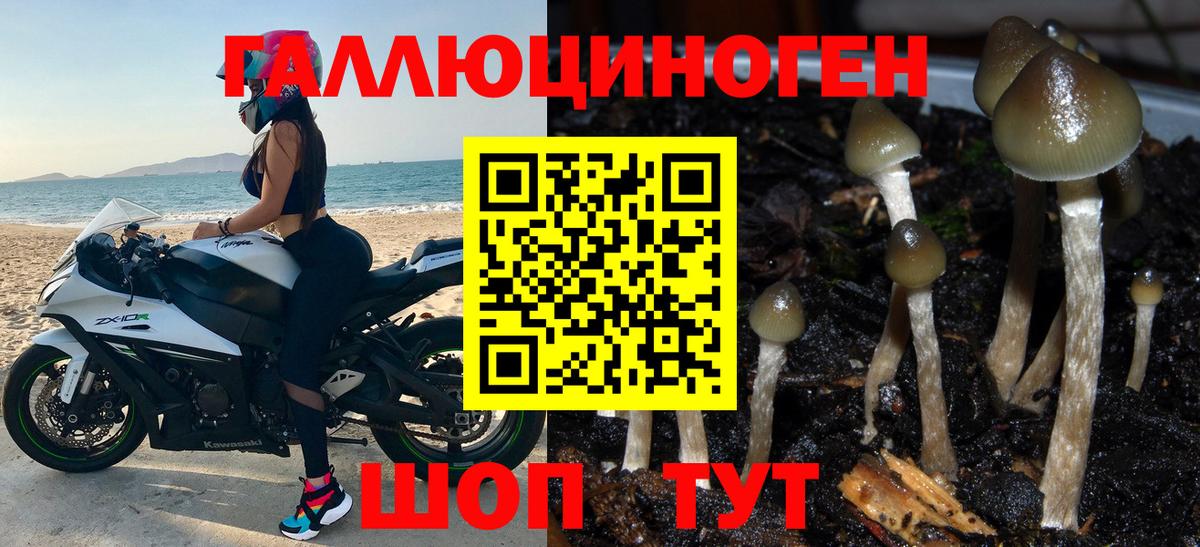 Галлюциногенные грибы GOLDEN TEACHER Волжский